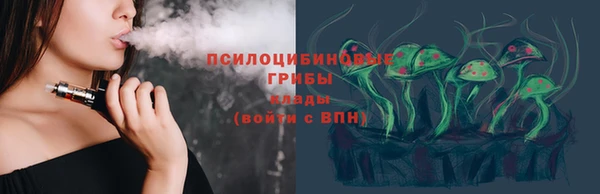 герыч Алексин