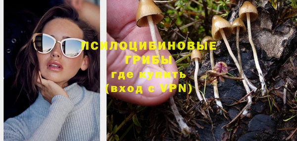 герыч Алексин