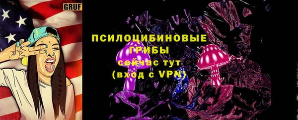 ешки Алексеевка